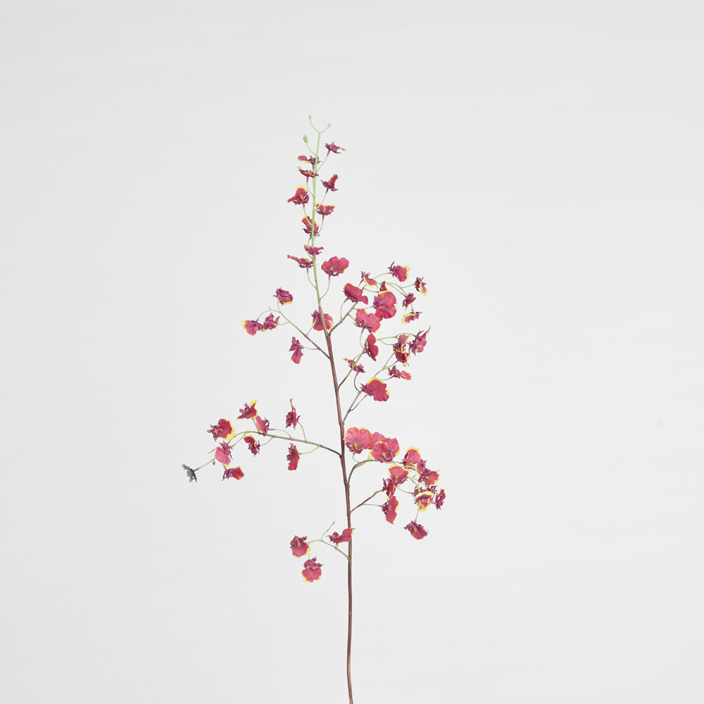 Dancing Orchid 93cm Burgundy