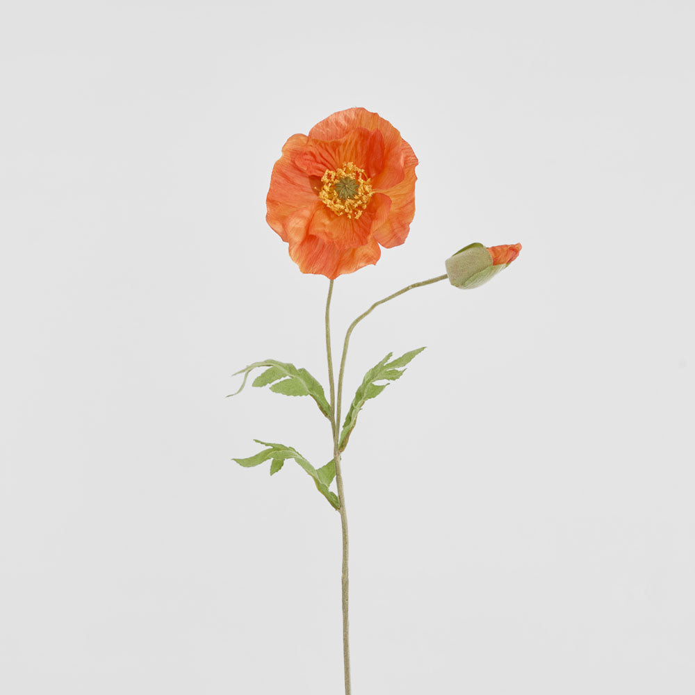 Poppy Stem 68cm Orange