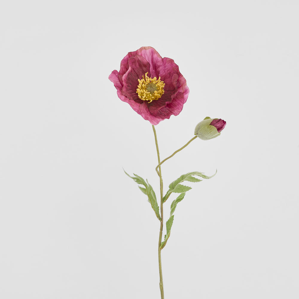 Poppy Stem 68cm Plum