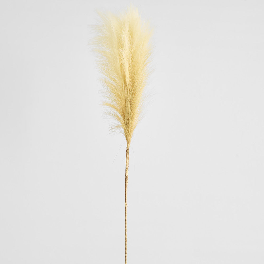 Pampas Spray 1.2m
