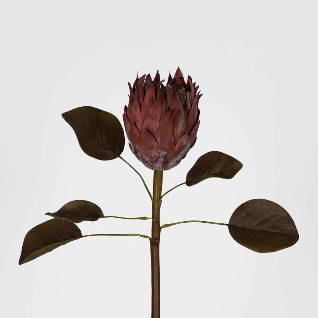 Dried Look Protea Stem with Leaves 60cm Brown