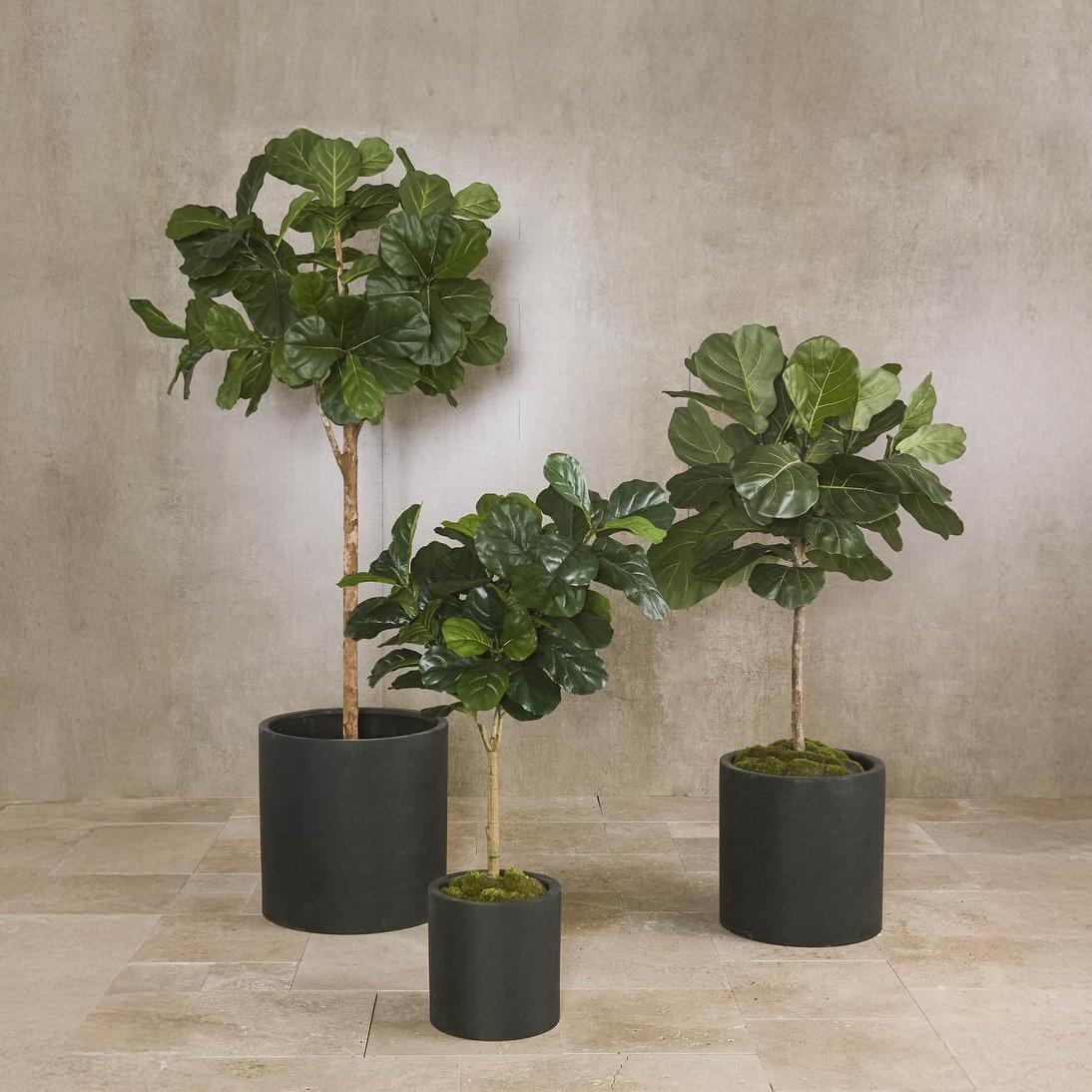 Duong Planter Set of 3 Black