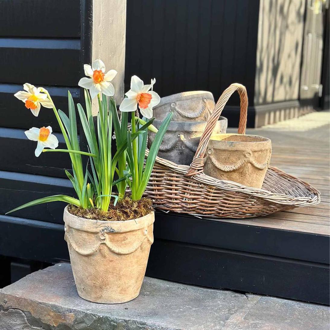 Willow Trug Set of 3
