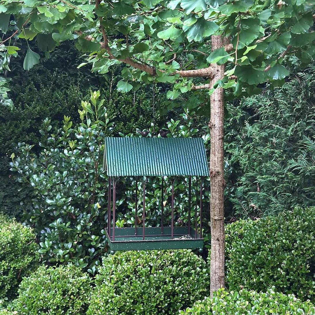 Bird Feeder House Set Of 2