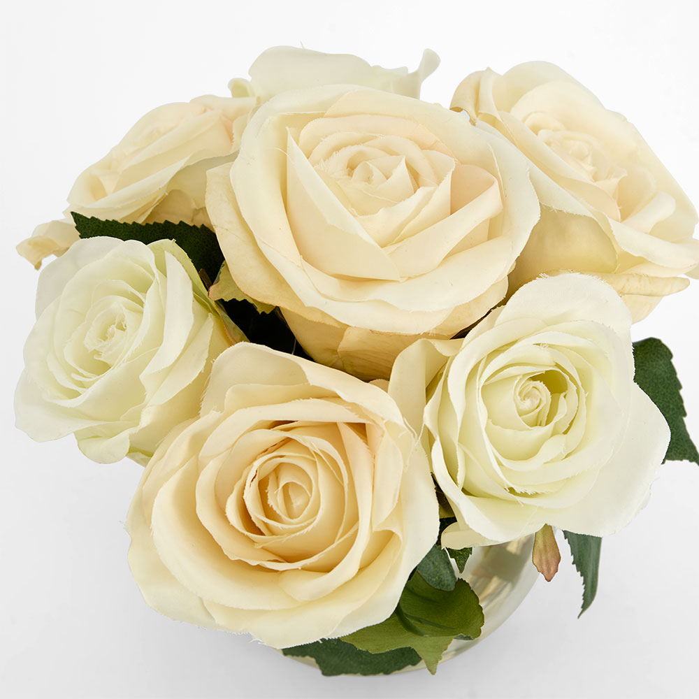 Rose in Water Cream