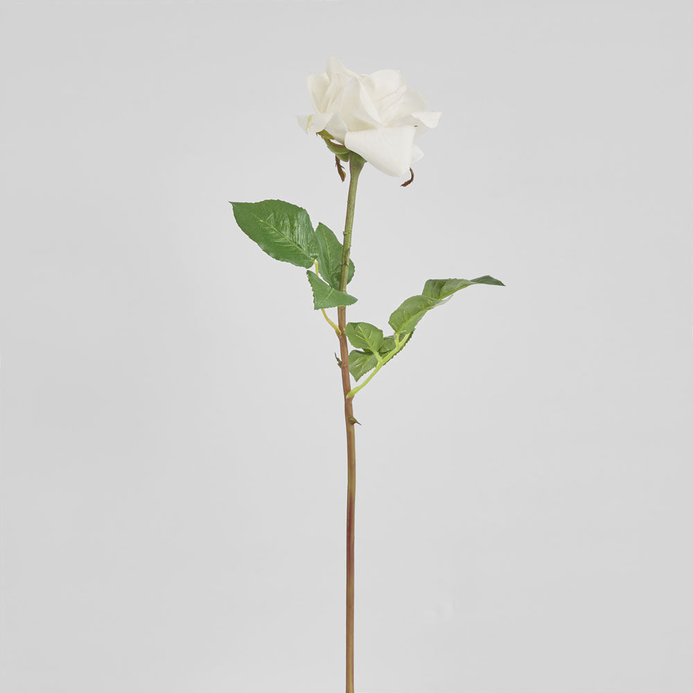 Rose True Touch 50cm White