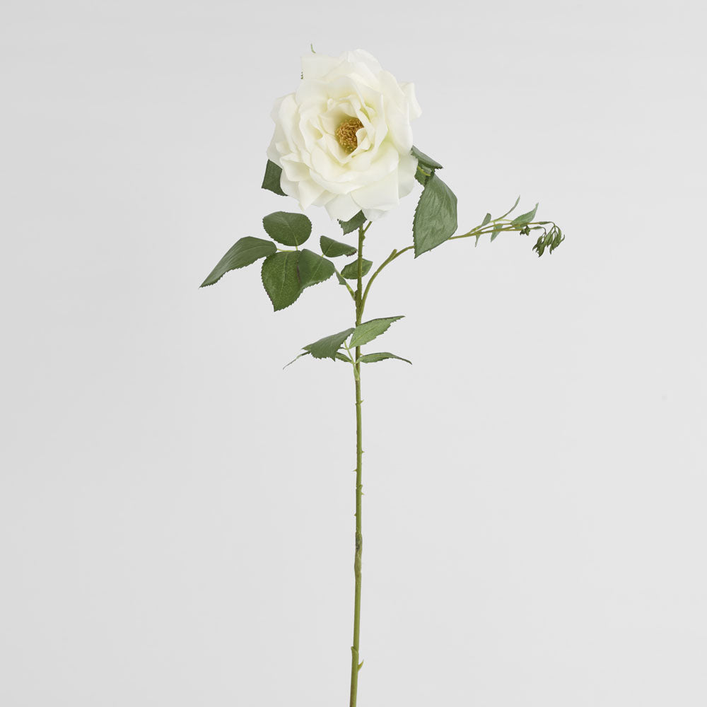 Chelsea Rose Stem 97cm White