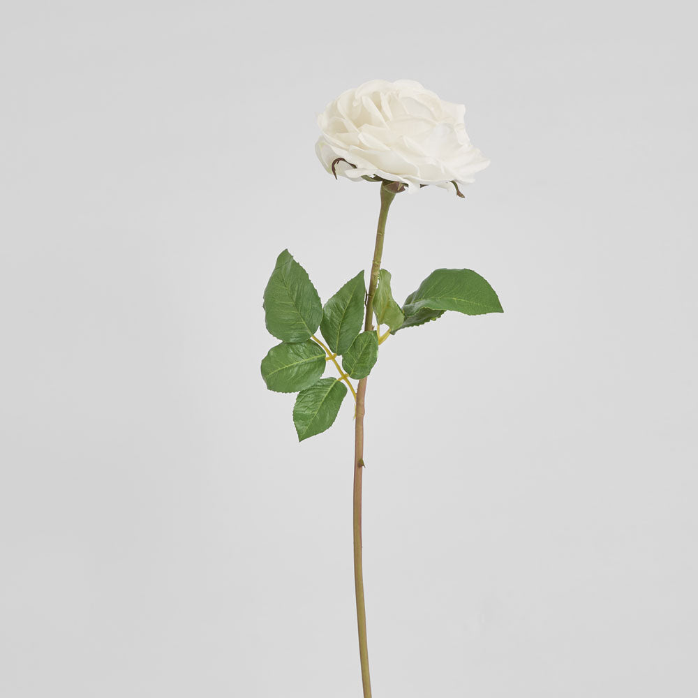 Stella Real Touch Rose Stem 50cm White