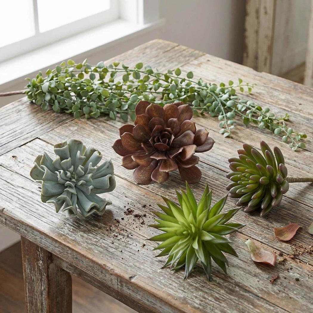 Succulent Spray Burgundy