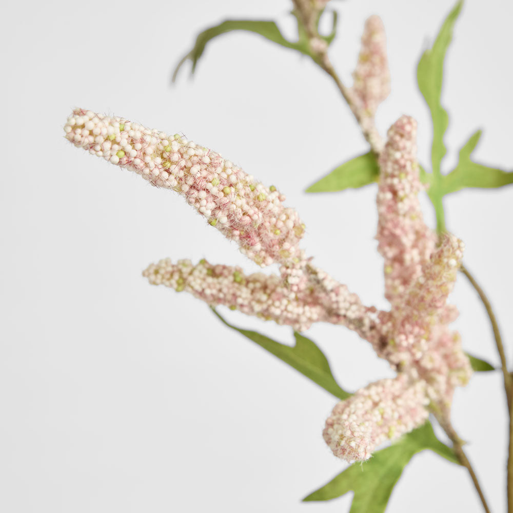 Sage Stem 70cm Pink