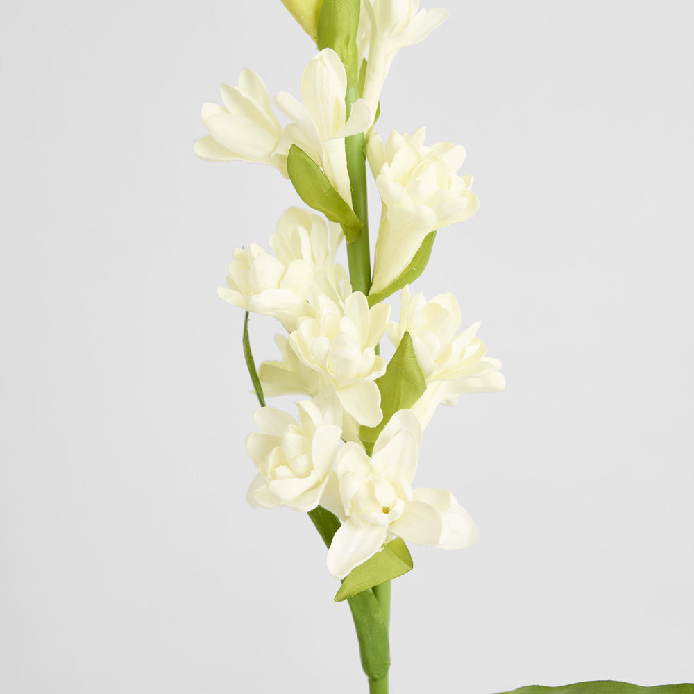 Tuberose Spray 80cm Cream