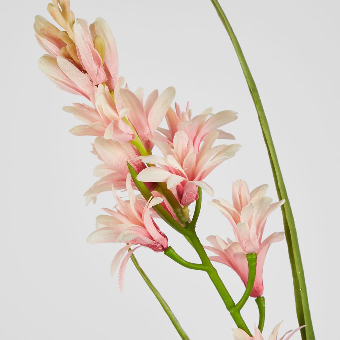 Tuberose Stem Pink 76cm