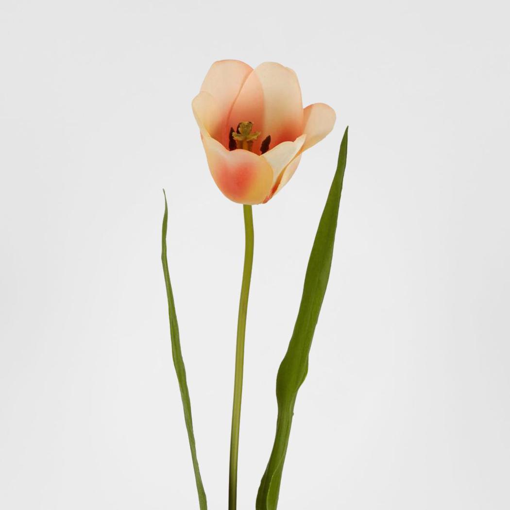 Tulip Real Touch Stem 73cm Peach