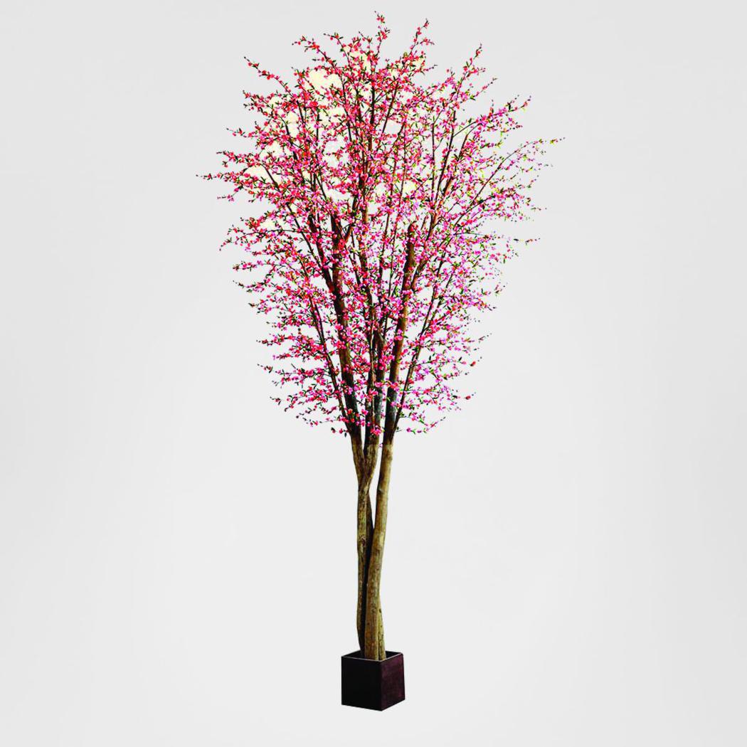 Giant Cherry Blossom Tree 5m 9360 Lvs