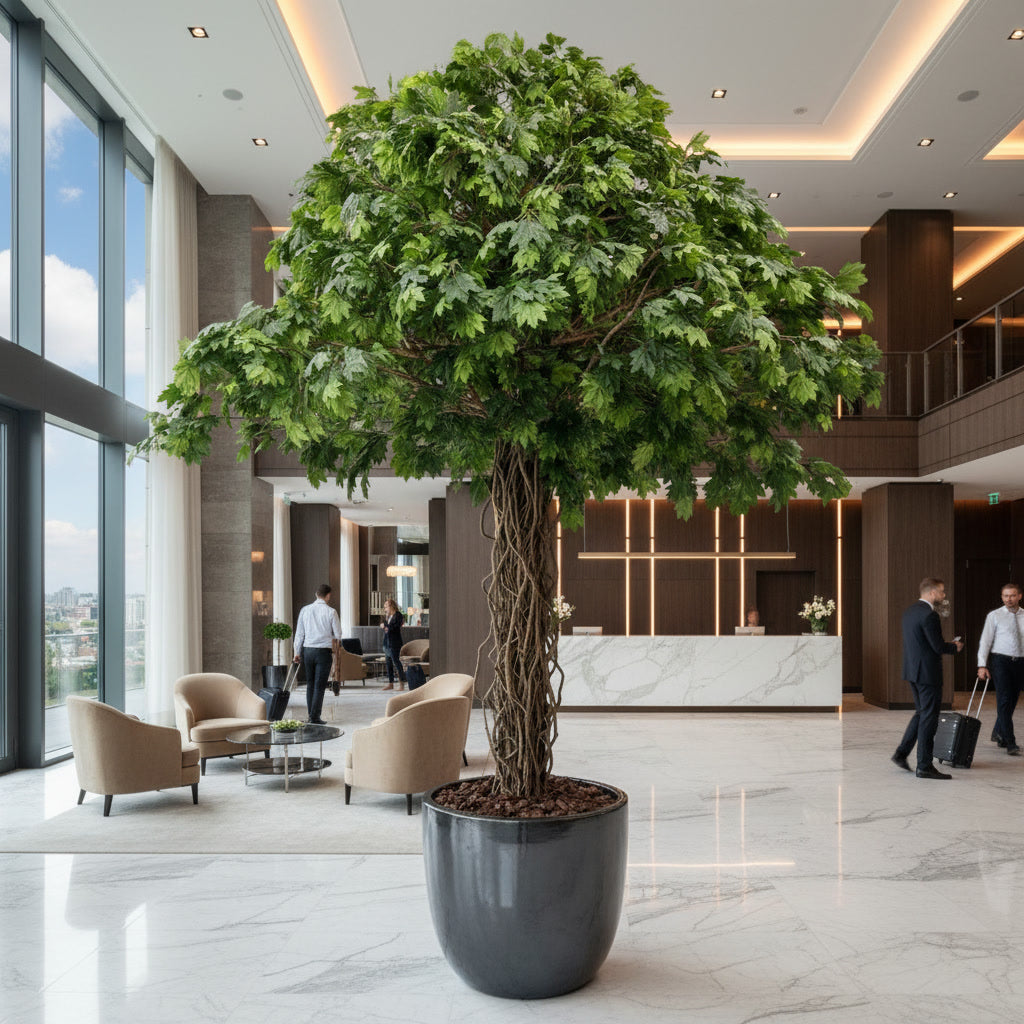 Giant Maple Liana Tree 5.5m