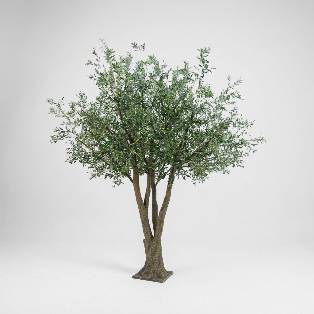 2.9m Giant Olive Tree w.20812 Lvs 468 Fruits UV Coated