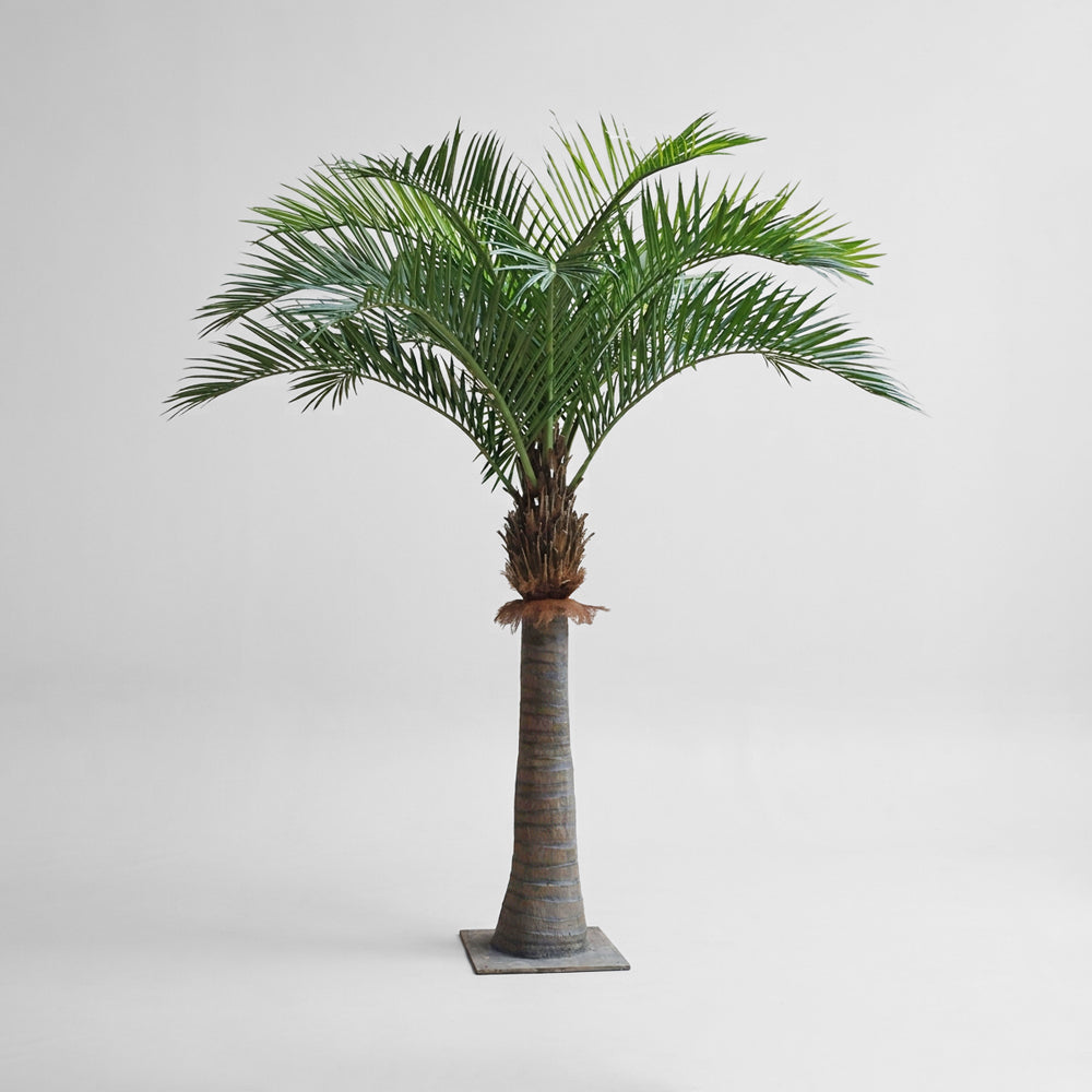 Coco Palm 2.2m 16 Fronds 1072 Lvs