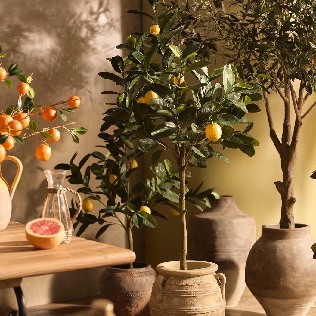 Lemon Tree UV Coated 150cm