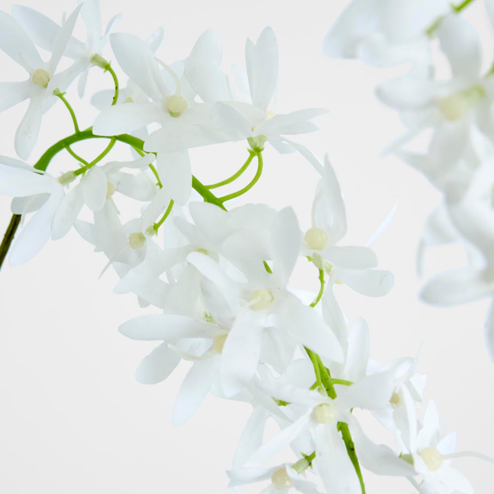 Trailing Wisteria 118cm White