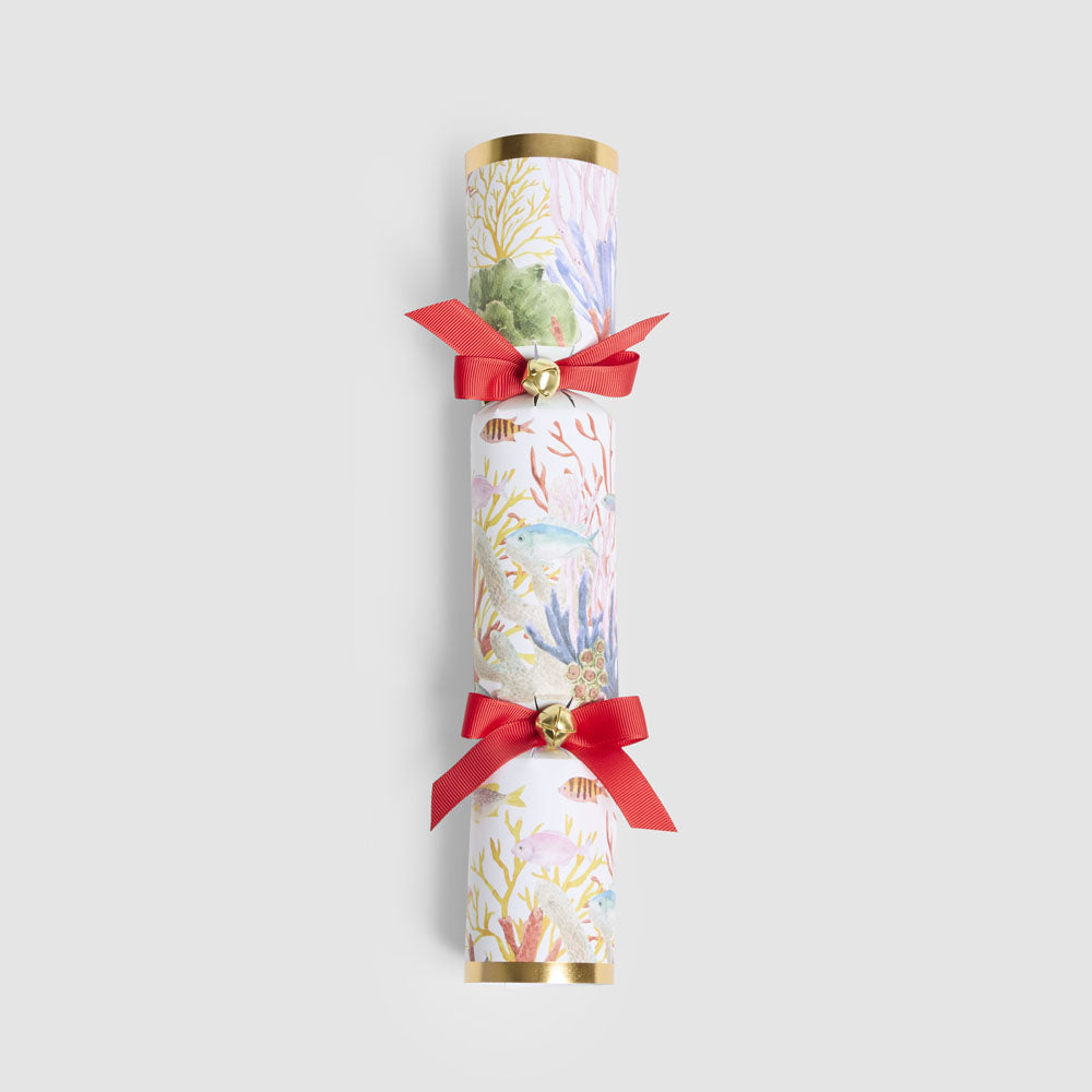 Coral Mystery Crackers – Box of 6