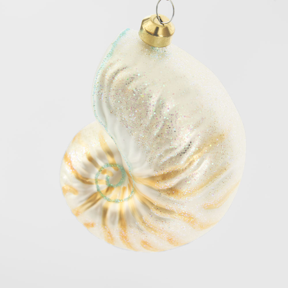 Conch Shell Decoration