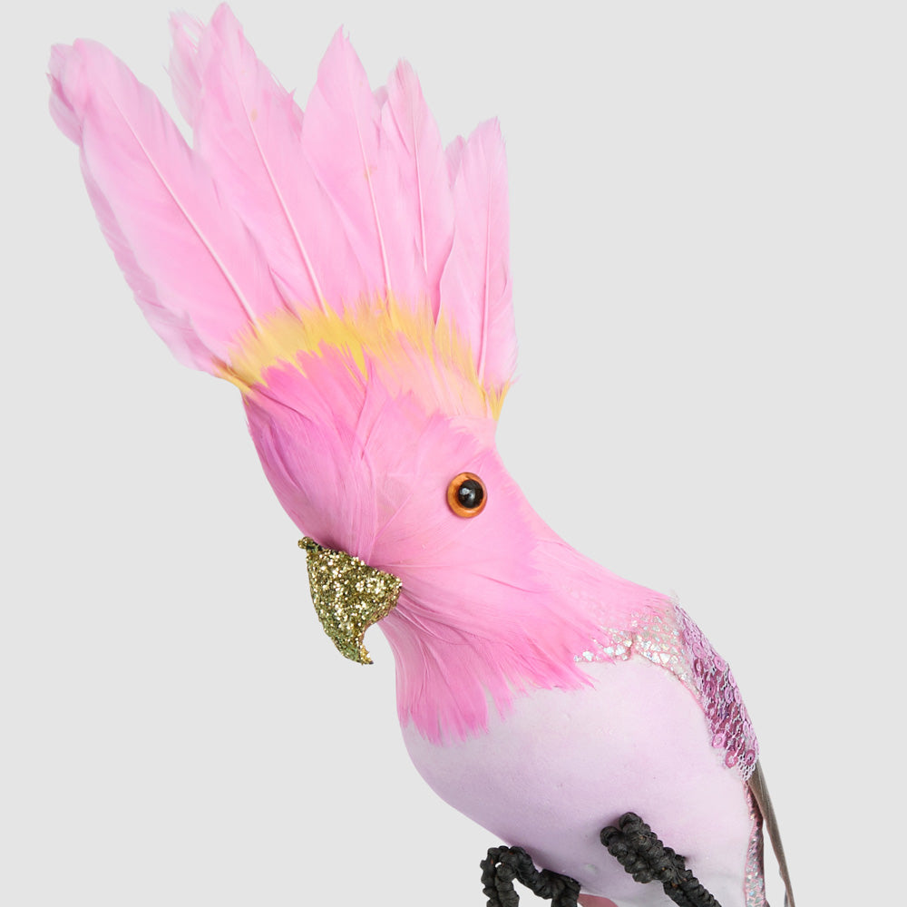 Razzle Crested Bird Pink