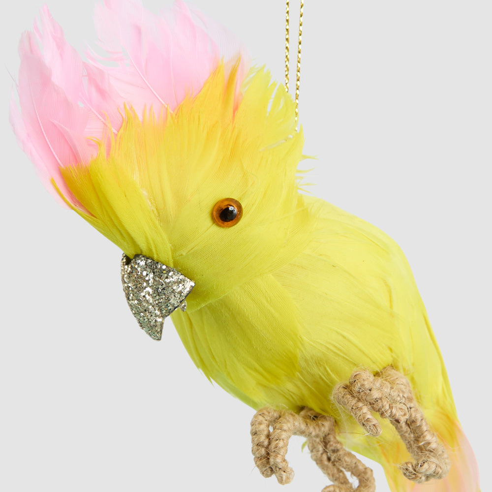 Hector Hanging Galah Yellow