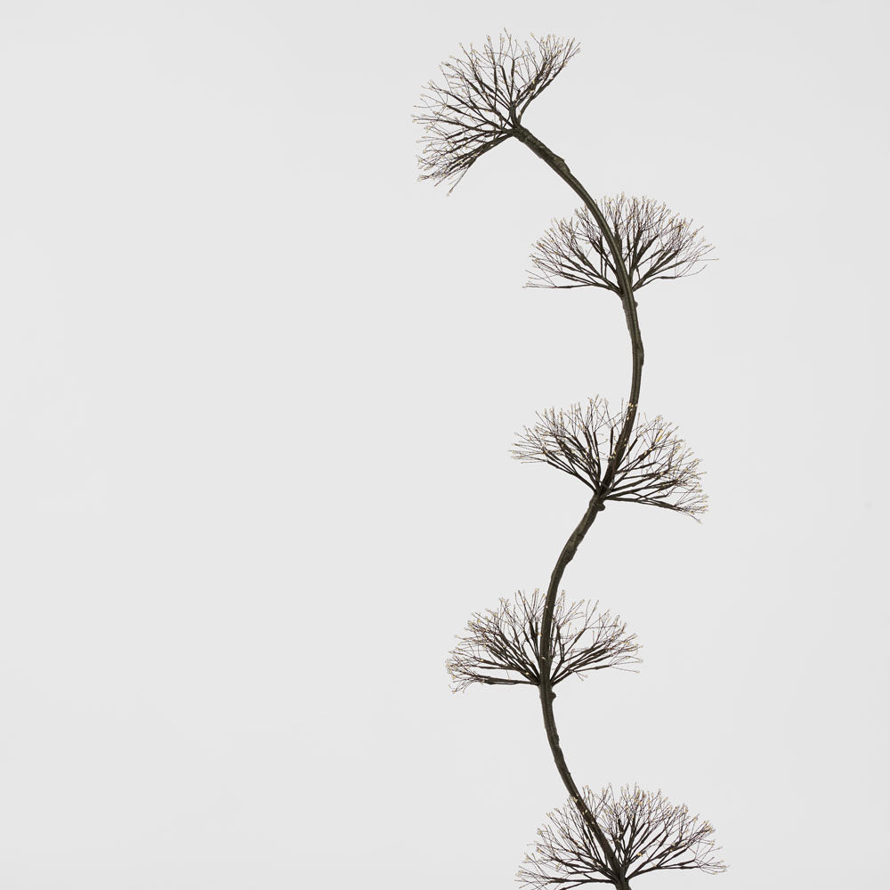 Fleur Lumière Multi Dandelion Light Up 150cm with with 1200 LED Warm White Lights