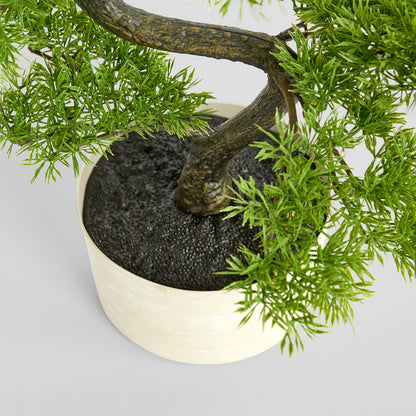 Bonsai Potted 45cm