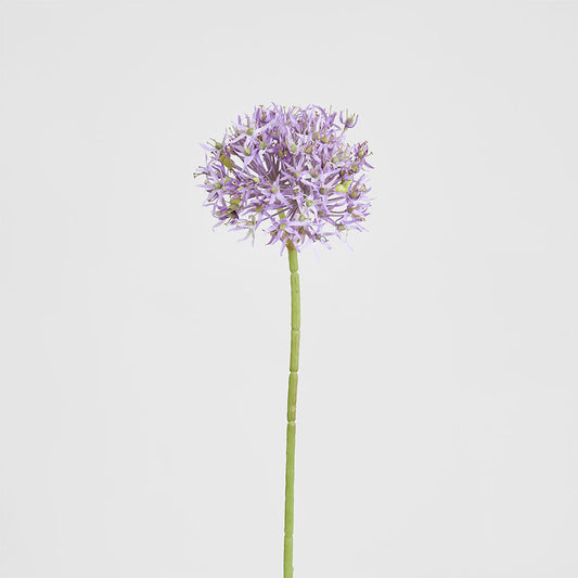 Allium Flower Stem 74cm Lavender