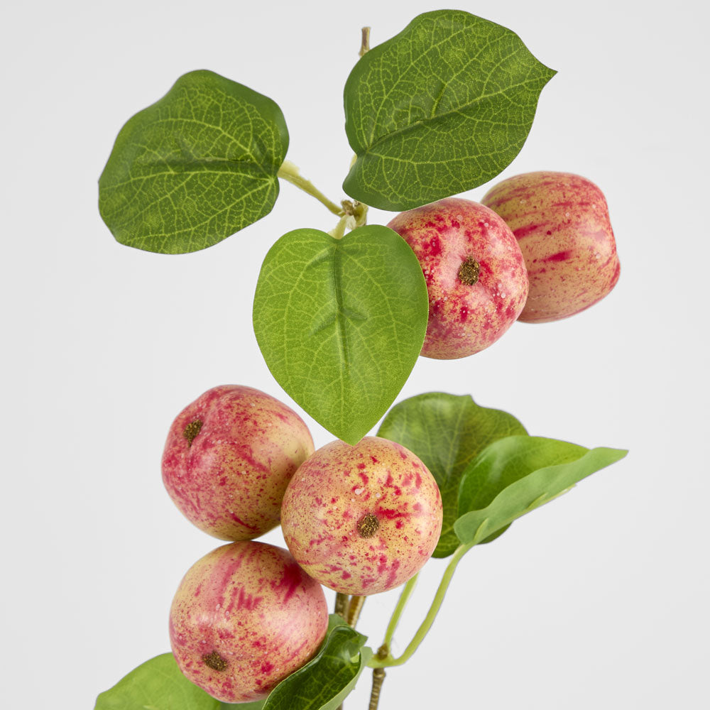Wild Crab Apple Stem Red