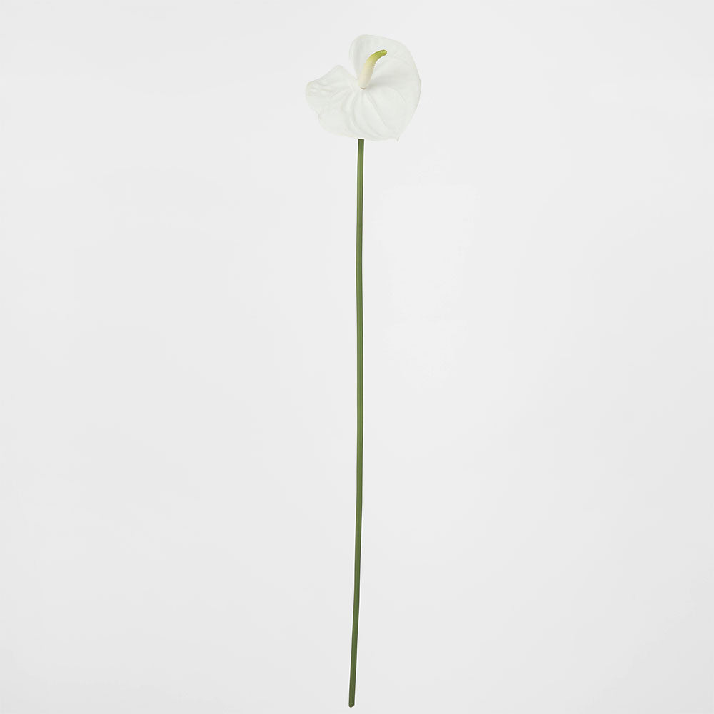 Anthurium Lily Real Touch White