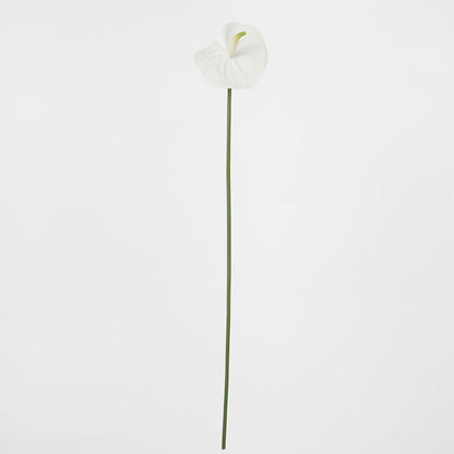 Anthurium Lily Real Touch White
