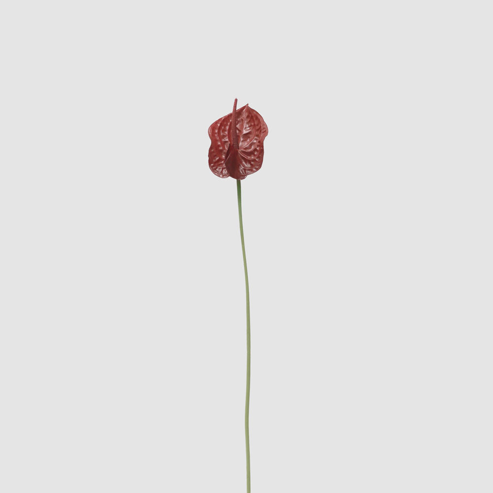 Anthurium Lily Real Touch Burgundy