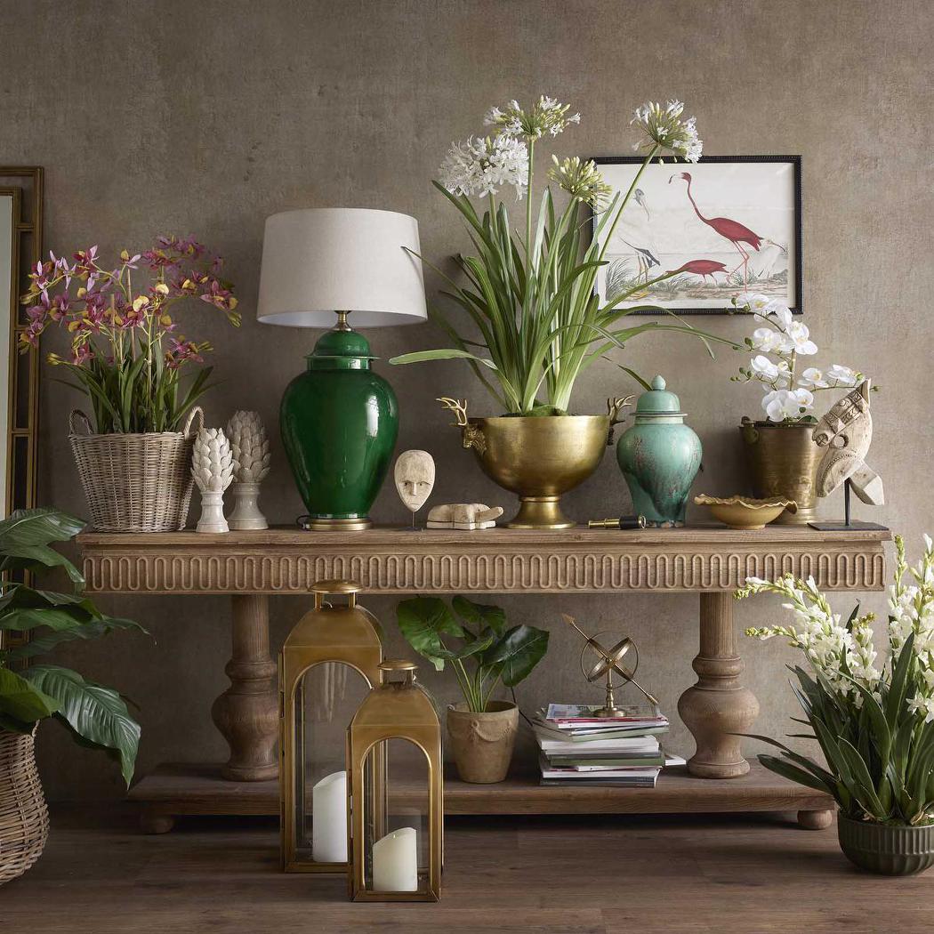 Agapanthus in Paper Pot White