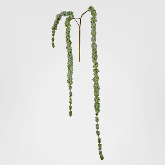 Amaranthus Hanging Spray 1.45m Green