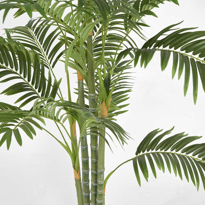 Areca Palm Multi Trunk 1.5m