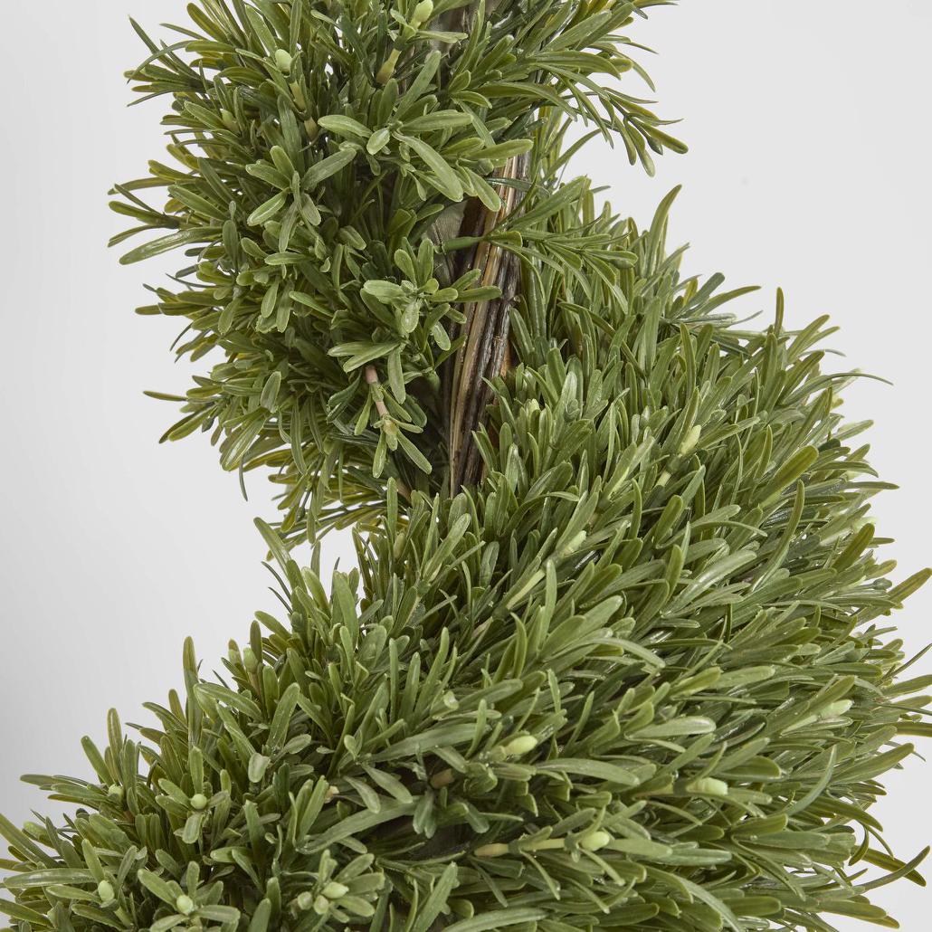 Rosemary Spiral Tree 1.2m