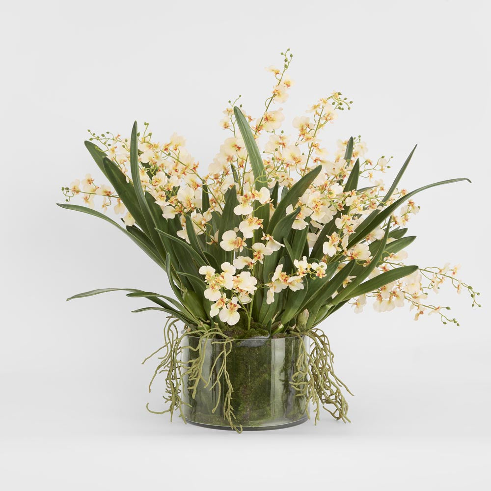 Lacey Arrangement Cream