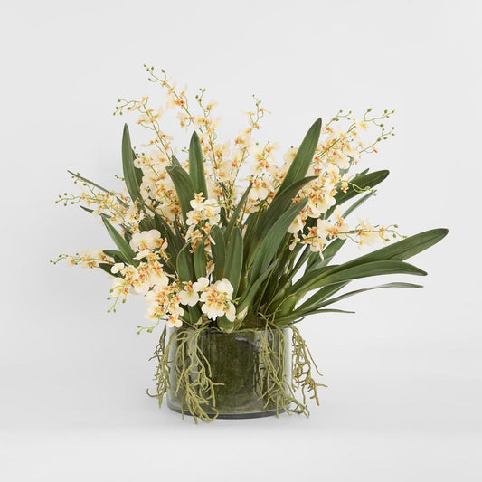 Lacey Arrangement Cream