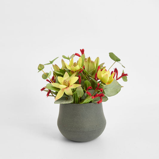 Alsanne Arrangement