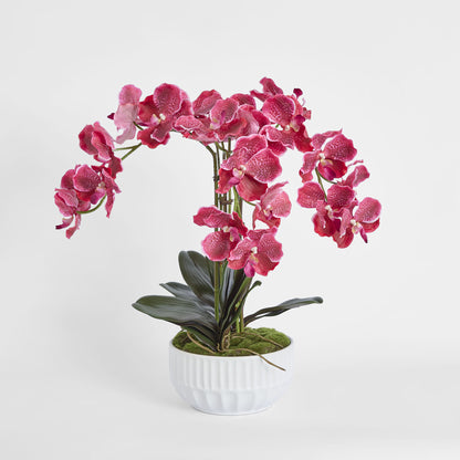 Colette Arrangement White