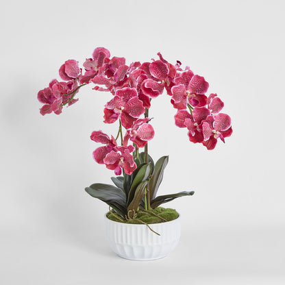 Colette Arrangement White