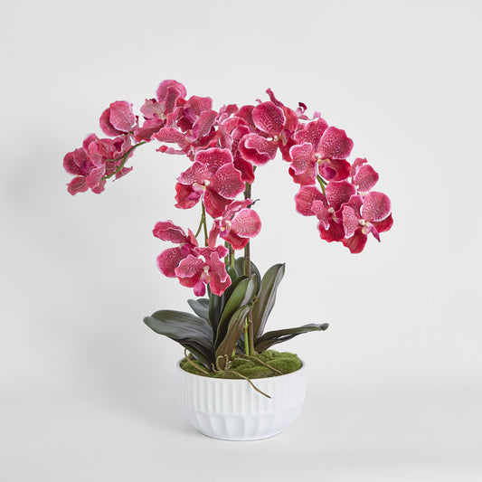 Colette Arrangement White
