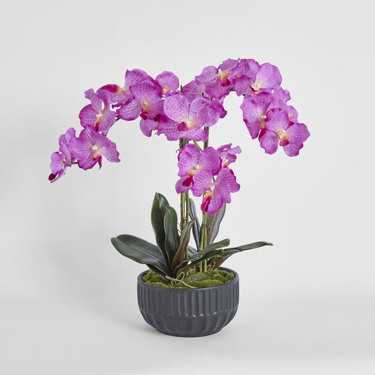 Amira Arrangement Black