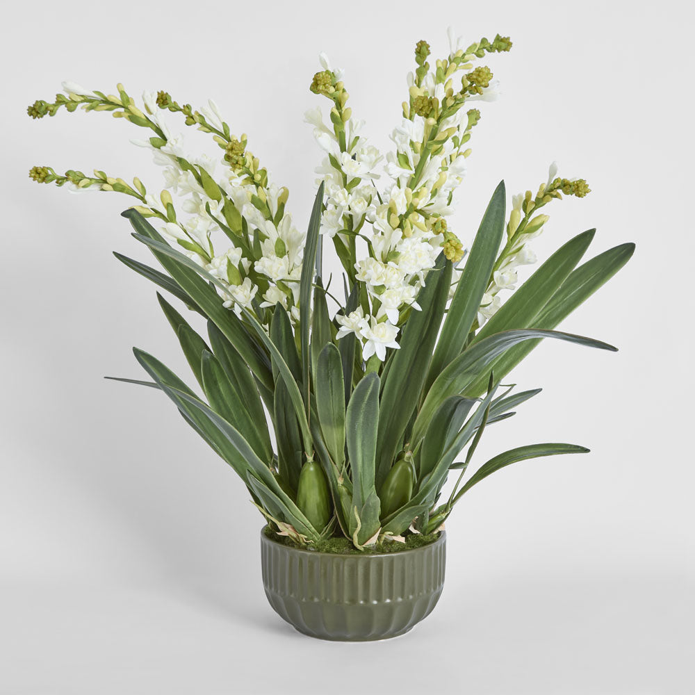 Ferne Arrangement Olive