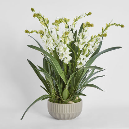 Ferne Arrangement Taupe