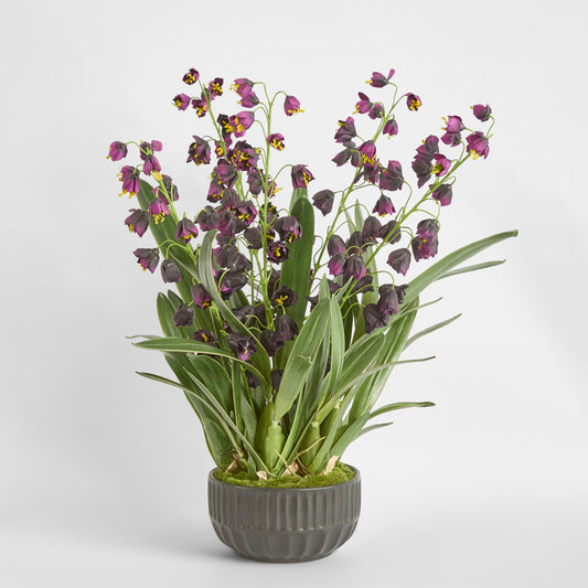 Mandine Arrangement Black