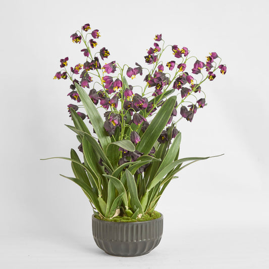 Mandine Arrangement Black