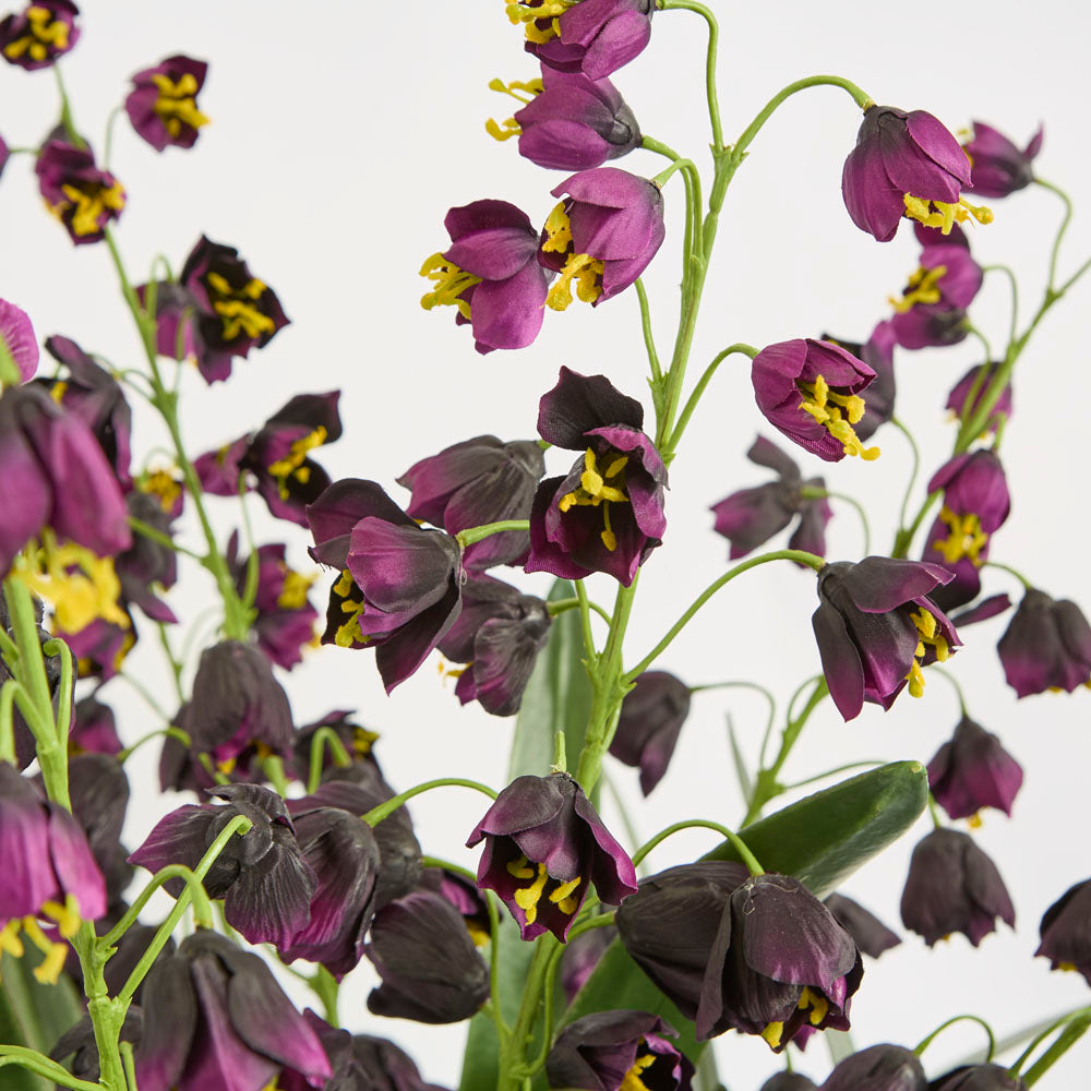 Mandine Arrangement Black
